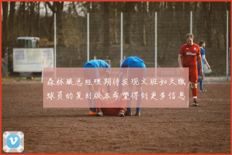森林狼总经理期待发现文班如天赋球员的复刻版本希望得到更多信息